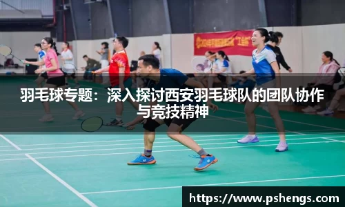羽毛球专题：深入探讨西安羽毛球队的团队协作与竞技精神